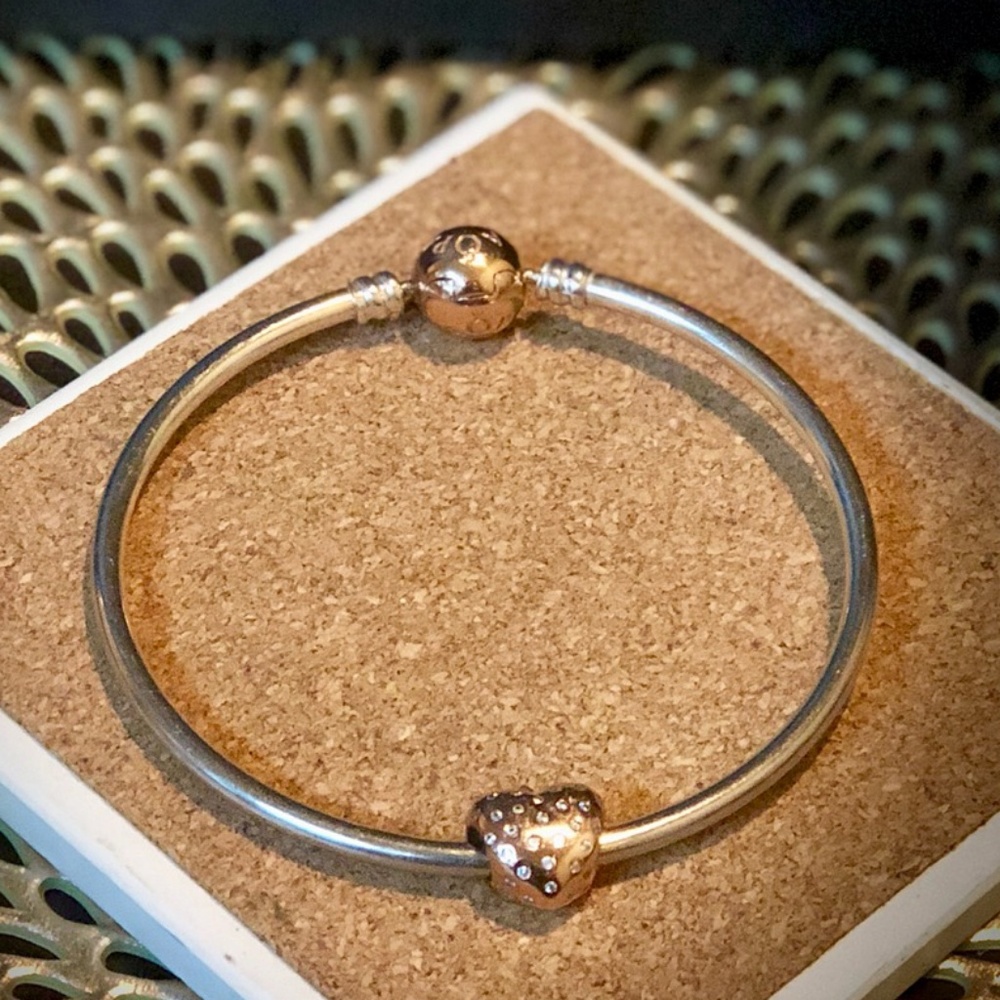 Pandora Bangle and Charm